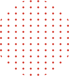 Project Inclusion